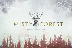 Misty Forest Collection