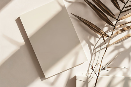 Card with dried palm, a Business Photo by AS Studio
