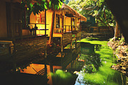Film presets fo Lightroom preview 4