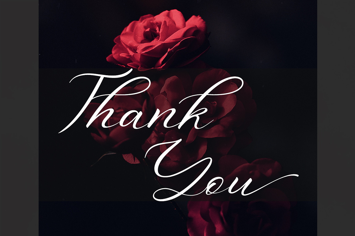 Aniyah Script Calligraphy, a Script Font by din-studio.com (Photo 13 of 14)