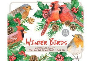 Watercolor winter birds clipart set