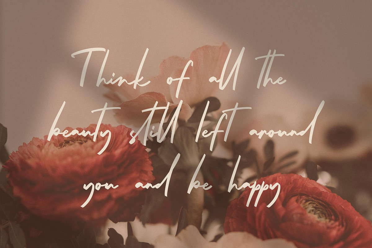 Aster Sphin - Script Font, a Script Font by Krakenbox Studio (Photo 7 of 11)
