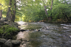 Mountain Creek in the Morning