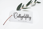 Angelina | Script Font, a Handwritten Font by Scratchones (Thumbnail 4 of 9)
