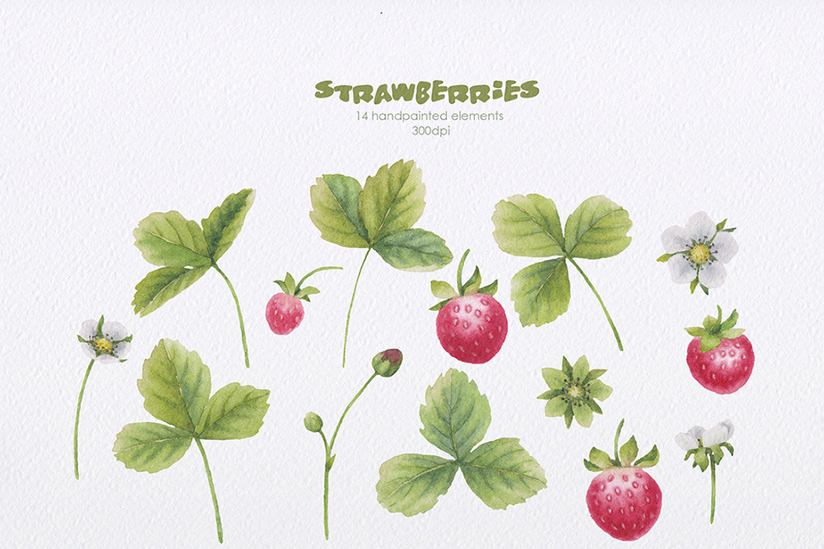 Strawberries watercolor, a Food Illustration by oKOLOstyle (Photo 3 of 5)