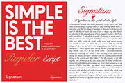 Signatum - Font family, a Handwritten Font by Artistic & Unique (Thumbnail 6 of 15)