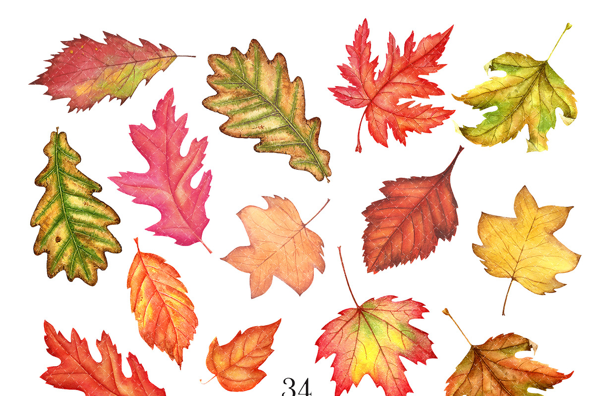 Autumn leaves watercolor clipart, a Background Graphic by Watercolor Clipart (Photo 3 of 4)