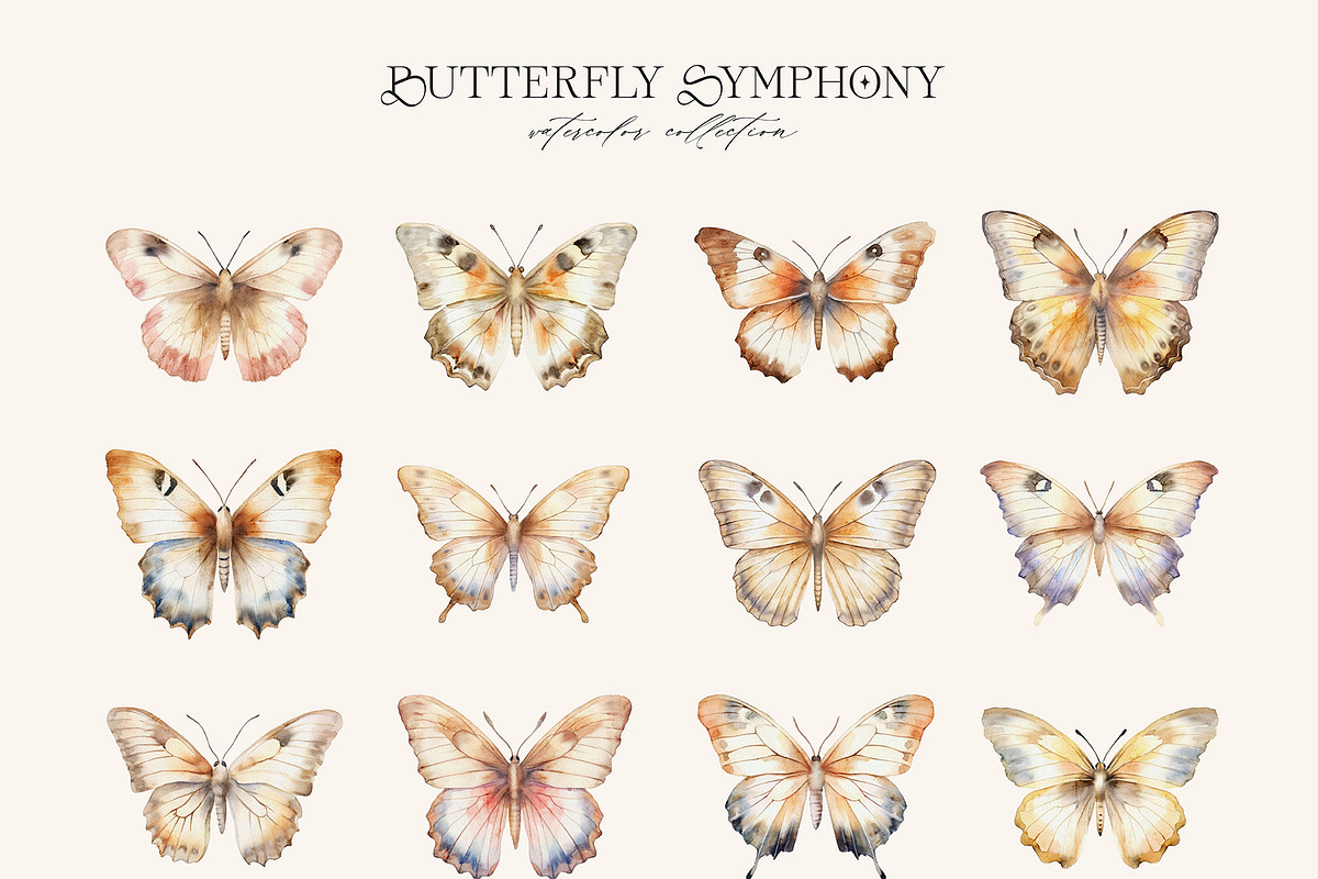 Butterfly Symphony Watercolor, an Object Graphic by Julia Dreams (Photo 3 of 7)