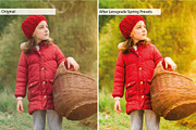 Spring Presets - Lightroom Presets, an Action Add-On by Lensgrade.com (Thumbnail 8 of 15)