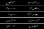 Smoke Photoshop Brush Collation, a Brush Add-On by MRI STUDIO (Thumbnail 27 of 41)