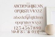Sassy Born - Modern Elegant Font, a Serif Font by Qweera Studio (Thumbnail 11 of 12)