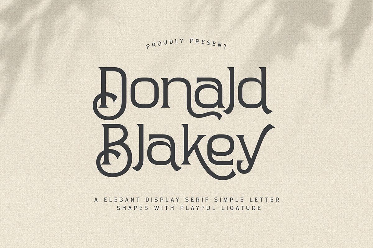 Donald Blakey Retro Serif, a Serif Font by Cruzine (Photo 1 of 10)