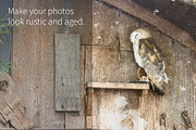 Peeling Paint Overlays, a Texture Graphic by Calina Bell (Thumbnail 4 of 5)