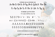 Adventure | Script Font, a Handwritten Font by Scratchones (Thumbnail 7 of 9)