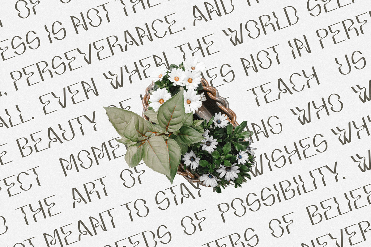 Franka - Modern Curvy & Wavy Font, a Sans Serif Font by Kahade Studio (Photo 10 of 20)