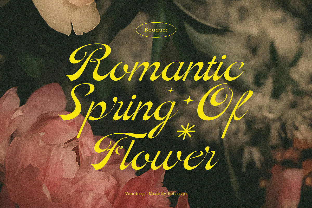 Vomiberg || Retro Script Font, a Script Font by epicatype (Photo 5 of 11)