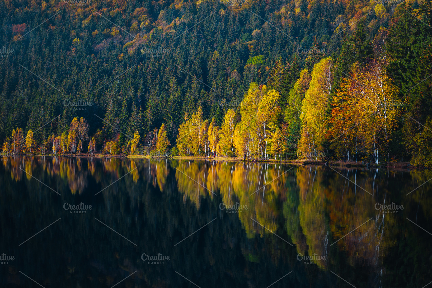 Majestic autumn scenery, a Nature Photo by Alpine Dreams