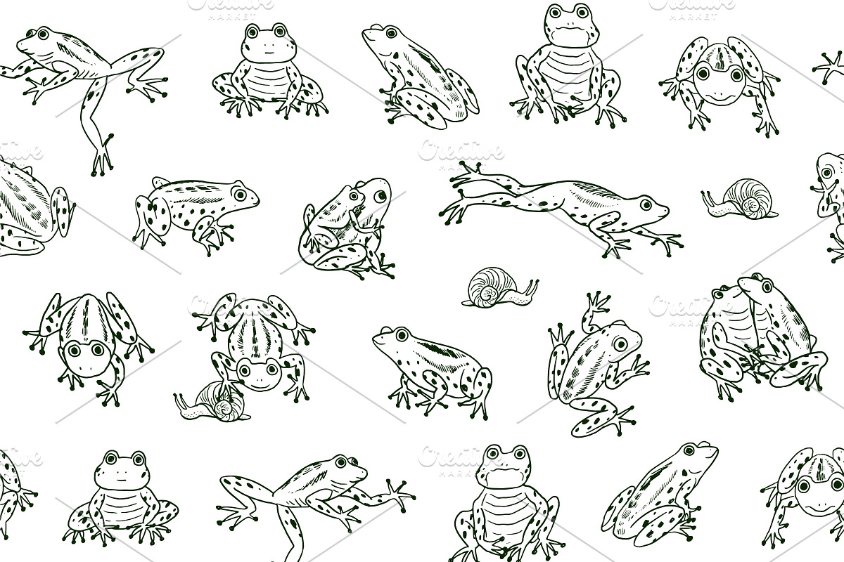 16 Frogs, an Animal Illustration by GooseFrol (Photo 10 of 11)