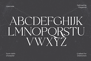 Qellon – Elegant Modern Serif, a Serif Font by MaikoHatta (Thumbnail 2 of 7)