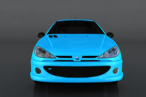 Peugeot 206 RC