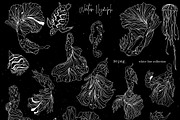 BIG MAGICAL BUNDLE ! BEST SELLERS, an Illustration by ArtOLB (Thumbnail 21 of 39)