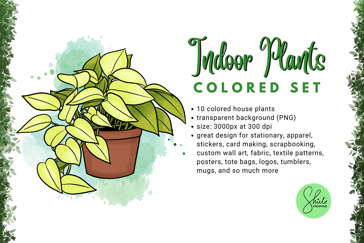 Indoor Plants Cliparts - Colored Set, an Object Illustration by shielscreations (Photo 3 of 3)