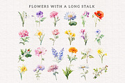 Birth Month Flower Clipart Bundle, an Illustration by PaintPixelCo (Thumbnail 7 of 14)