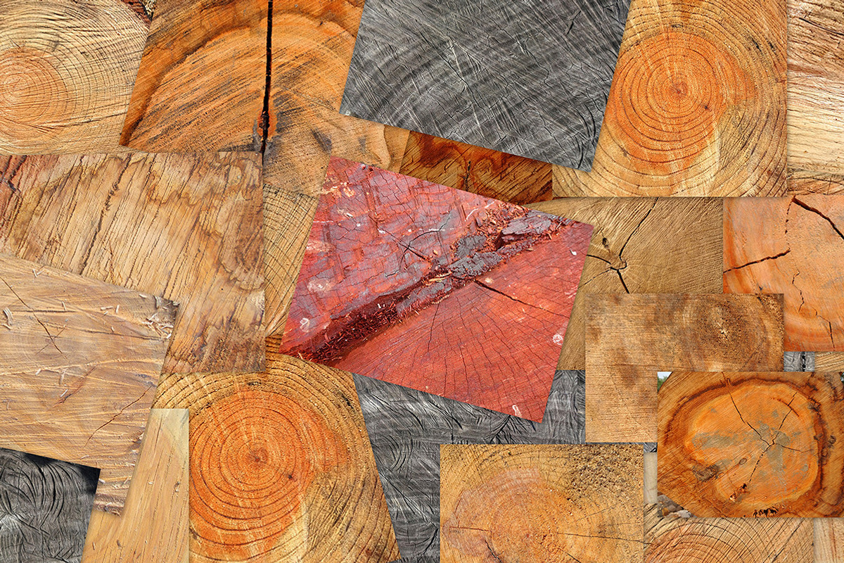 20 Tree End Textures preview 2