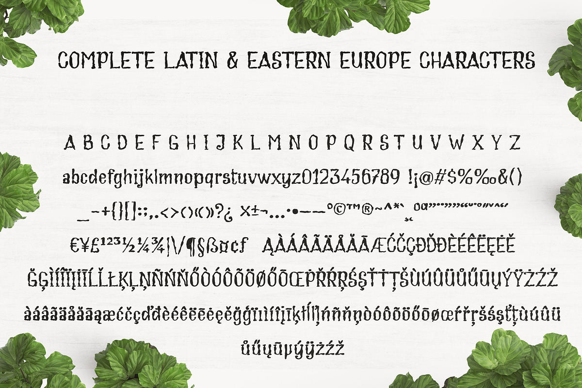 Cream Soup | Sauce Made Font preview 5
