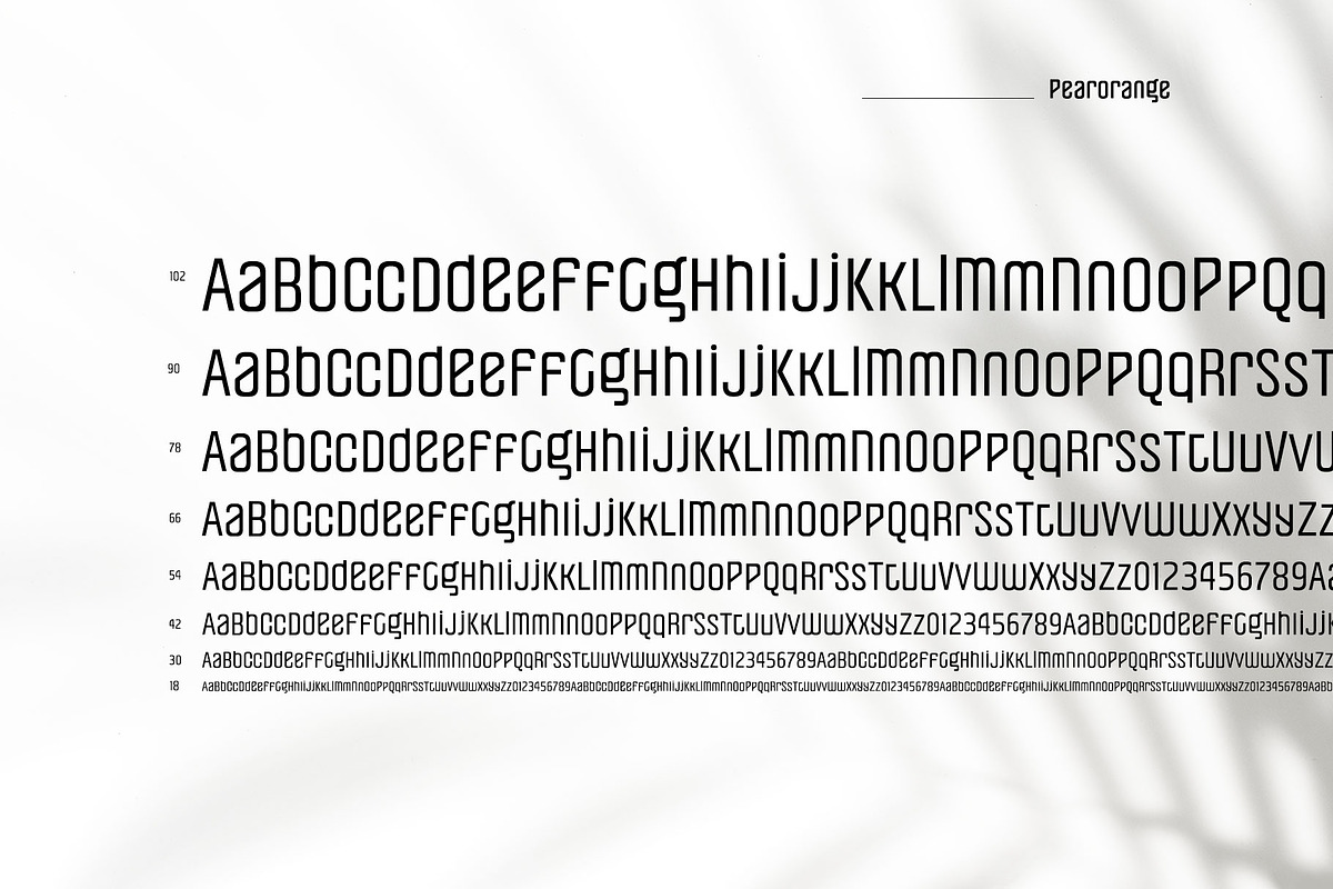 Pearorange Modern Sans Font Family, a Sans Serif Font by Ryul Davidson (Photo 4 of 14)