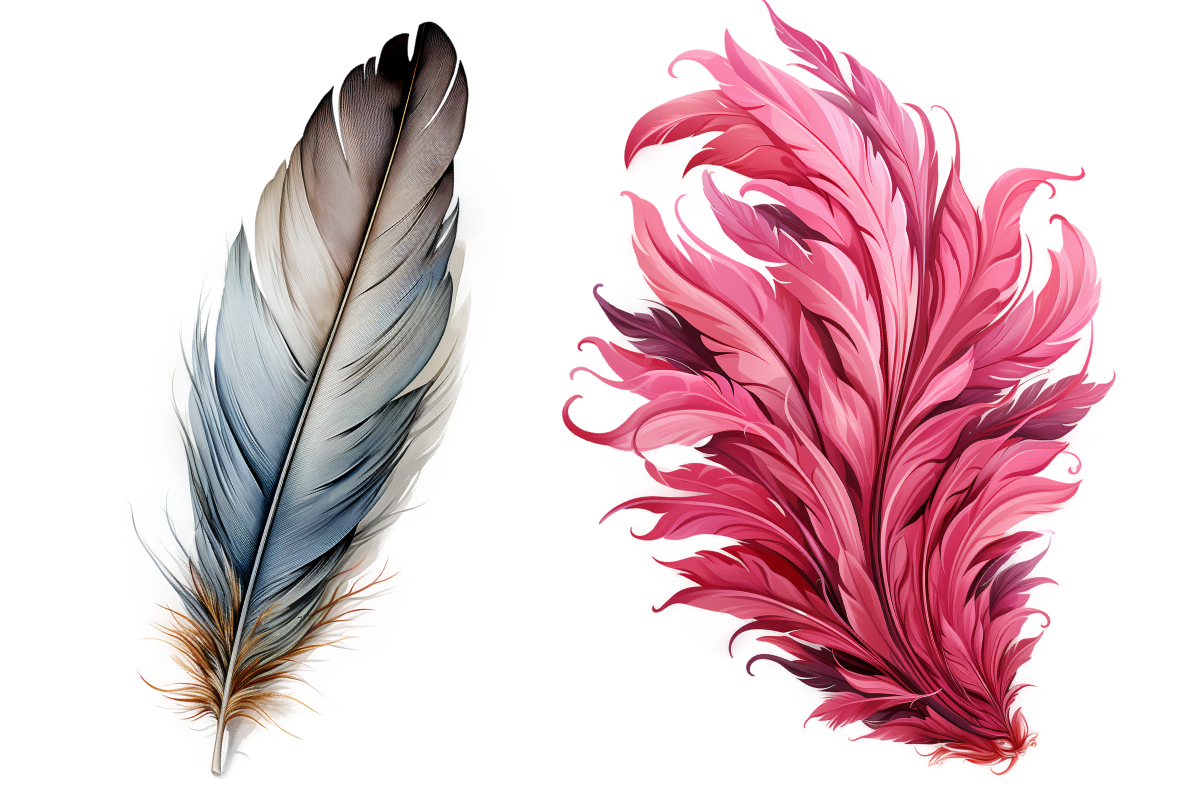 Birds Feathers Clipart, an Object Graphic by Agnesagraphic (ID 95) (Photo 4 of 7)