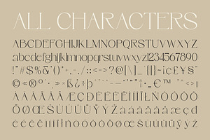 CS Parsite Elegant Font