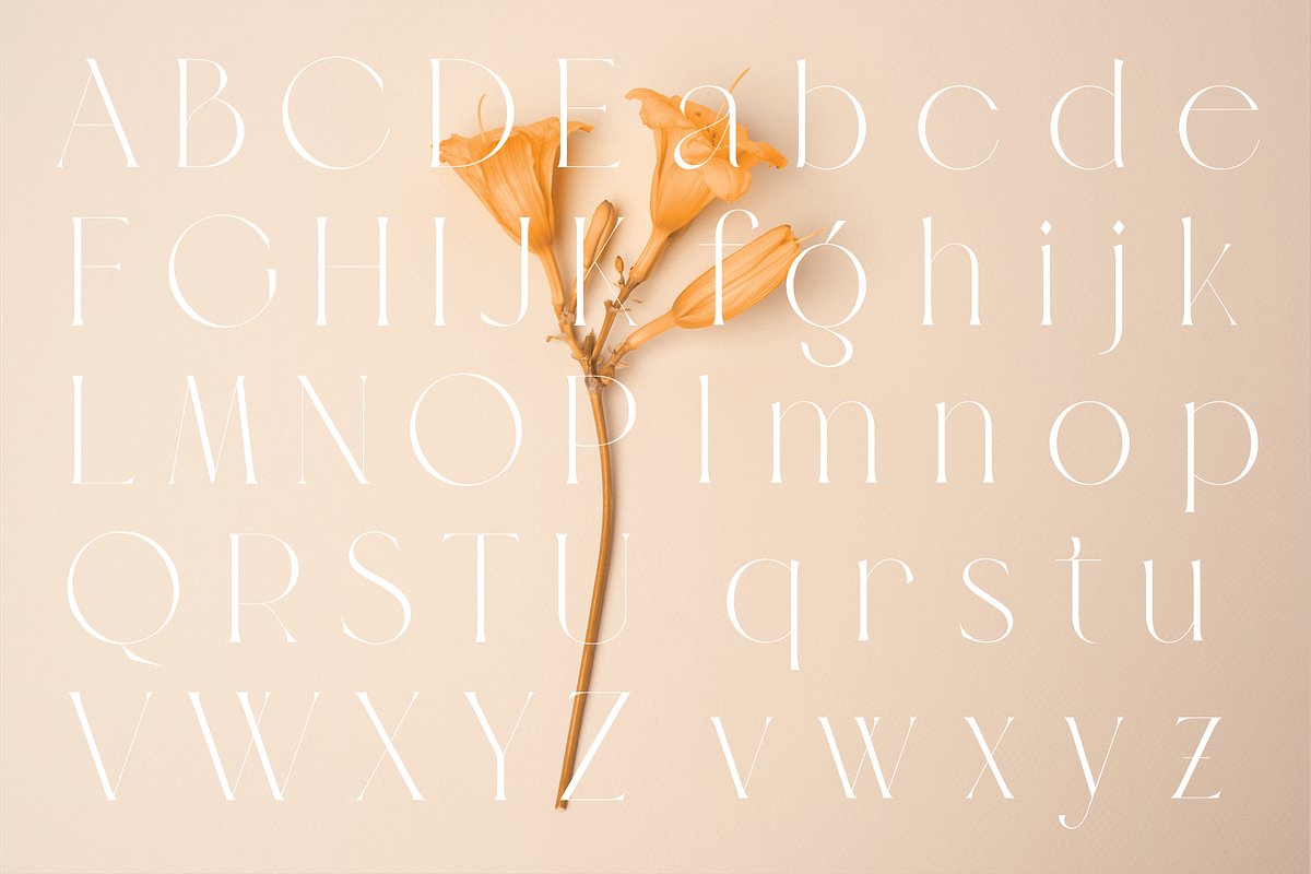 Veilan Serif Delicate font, a Serif Font by Andfonts (Photo 11 of 13)