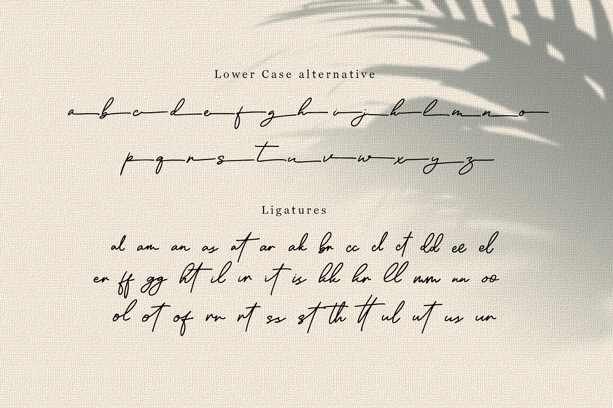 Ronallatie - Elegant Signature Font, a Script Font by Dm Studio (Photo 9 of 9)