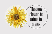 Mitten - Movie Title Font, a Serif Font by Sohel Studio (Thumbnail 9 of 12)