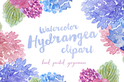SALE! HUGE Watercolor Flower Bundle, an Illustration by Emerald & Ivy Studios (Thumbnail 15 of 23)