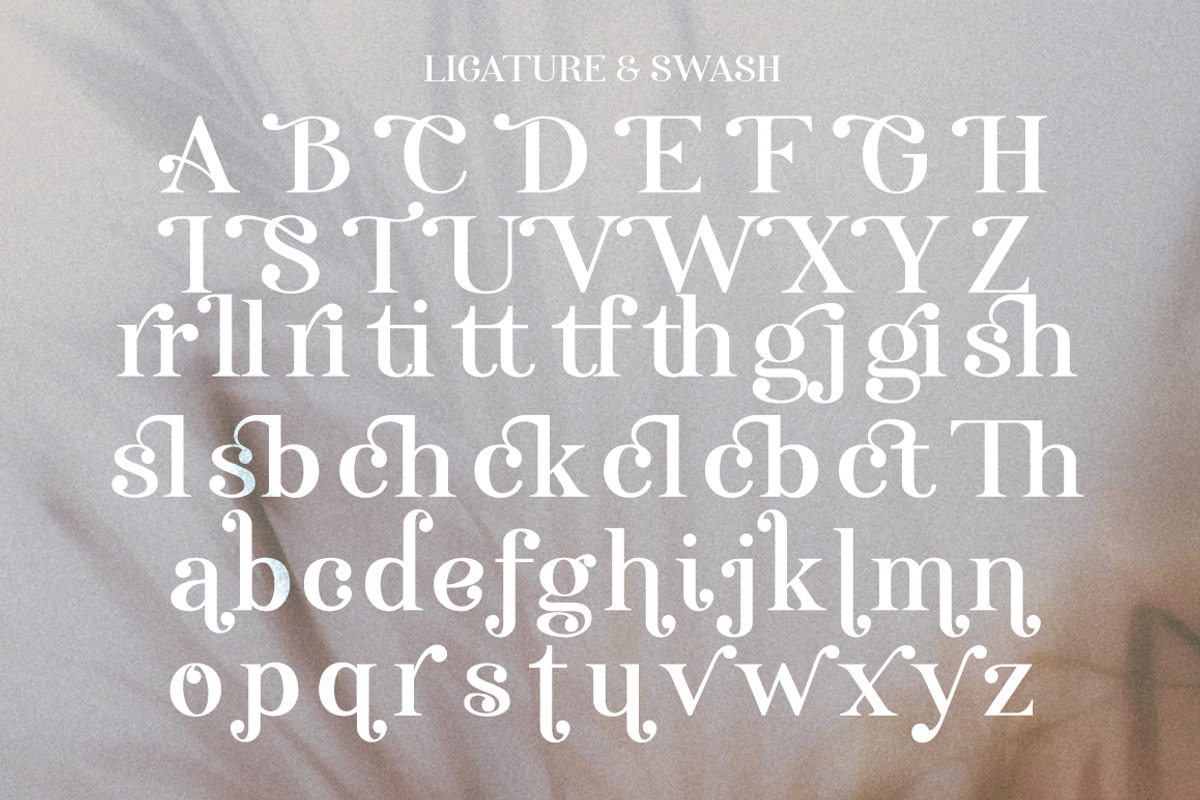 Anggie Display, a Serif Font by Gatype (Photo 9 of 11)