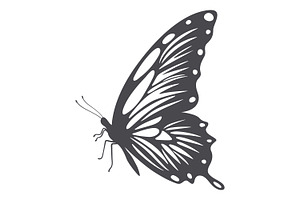 Butterfly, Vector Set.