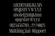 Grostel, a Serif Font by zeenesia (Thumbnail 2 of 12)