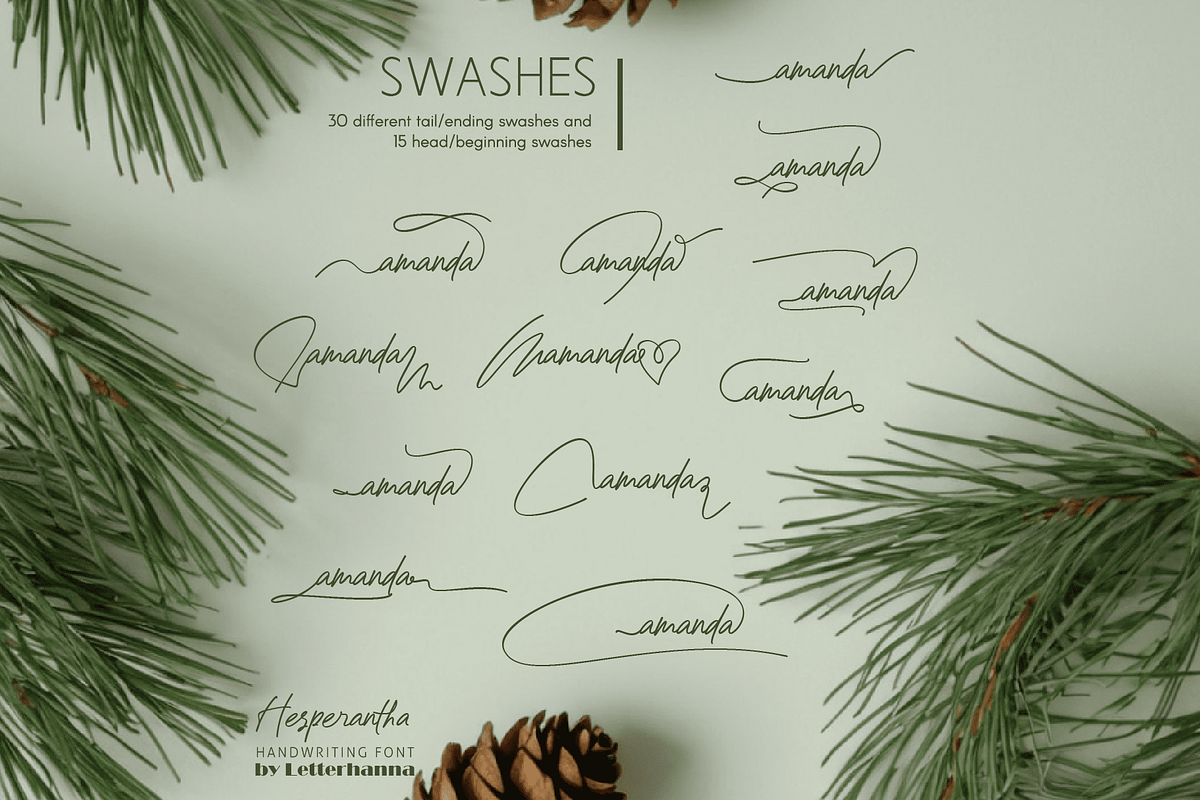 Hesperantha Font, a Handwritten Font by Letterhanna Studio (Photo 9 of 9)
