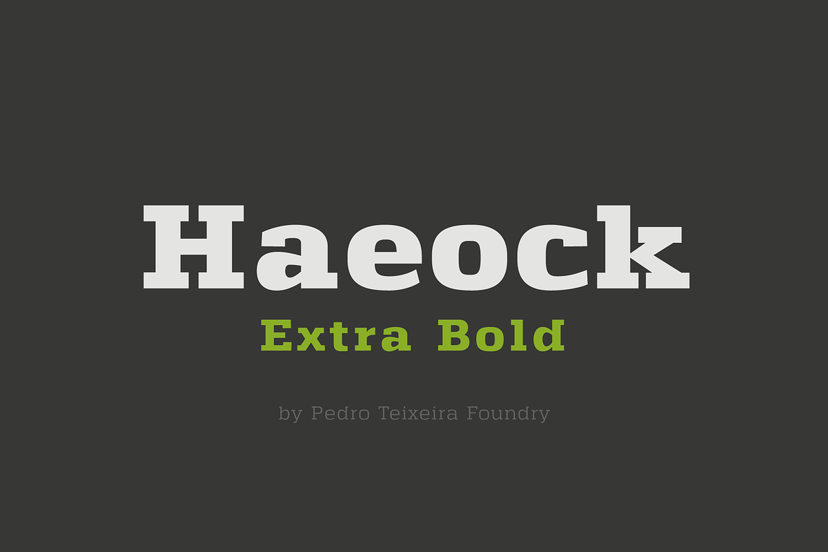 Haeock Extra Bold, a Slab Serif Font by vectalex (Photo 1 of 5)