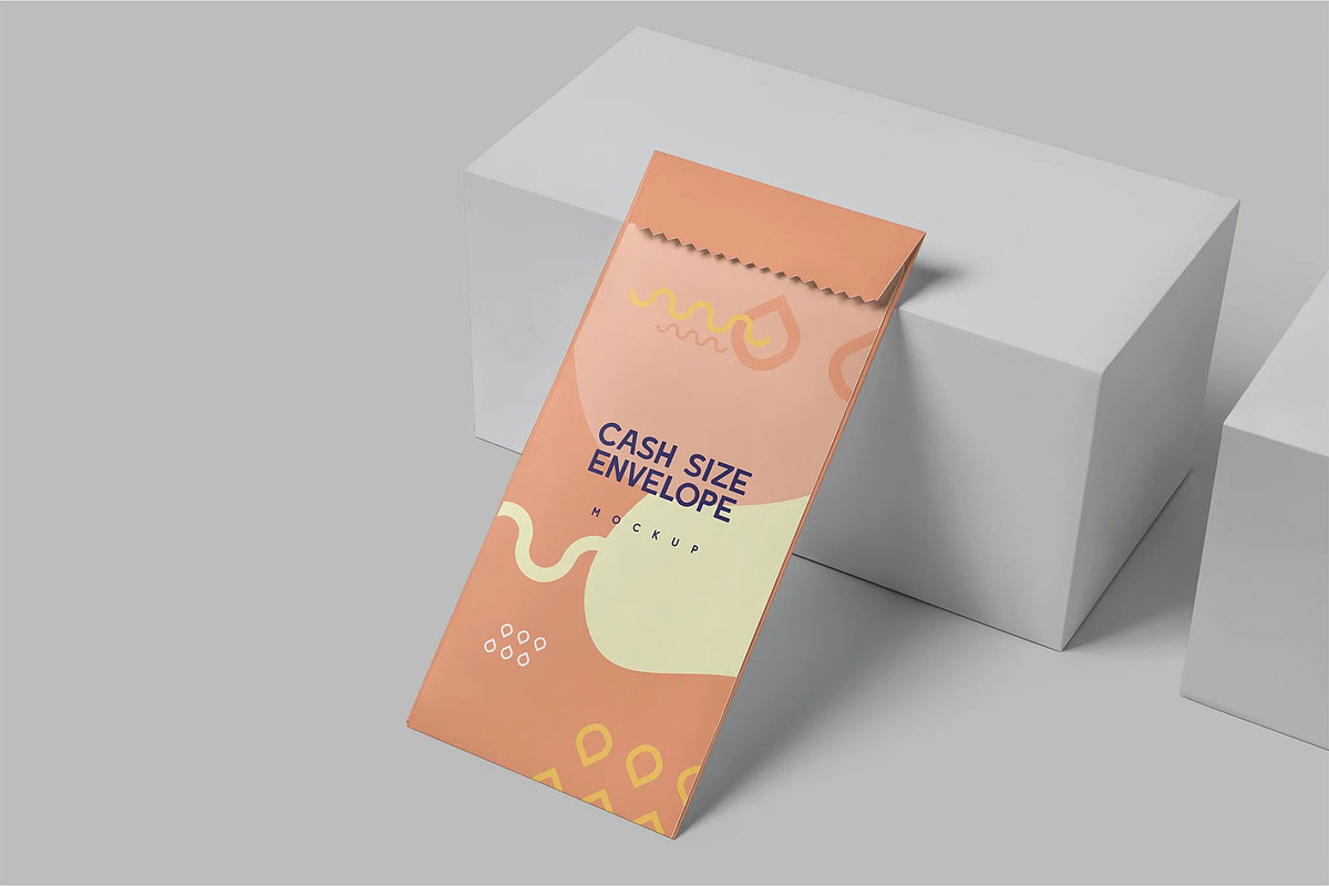 Cash Size Catalog Envelope Mockups, an Advertising Mockup by megostudi0 (Photo 7 of 7)