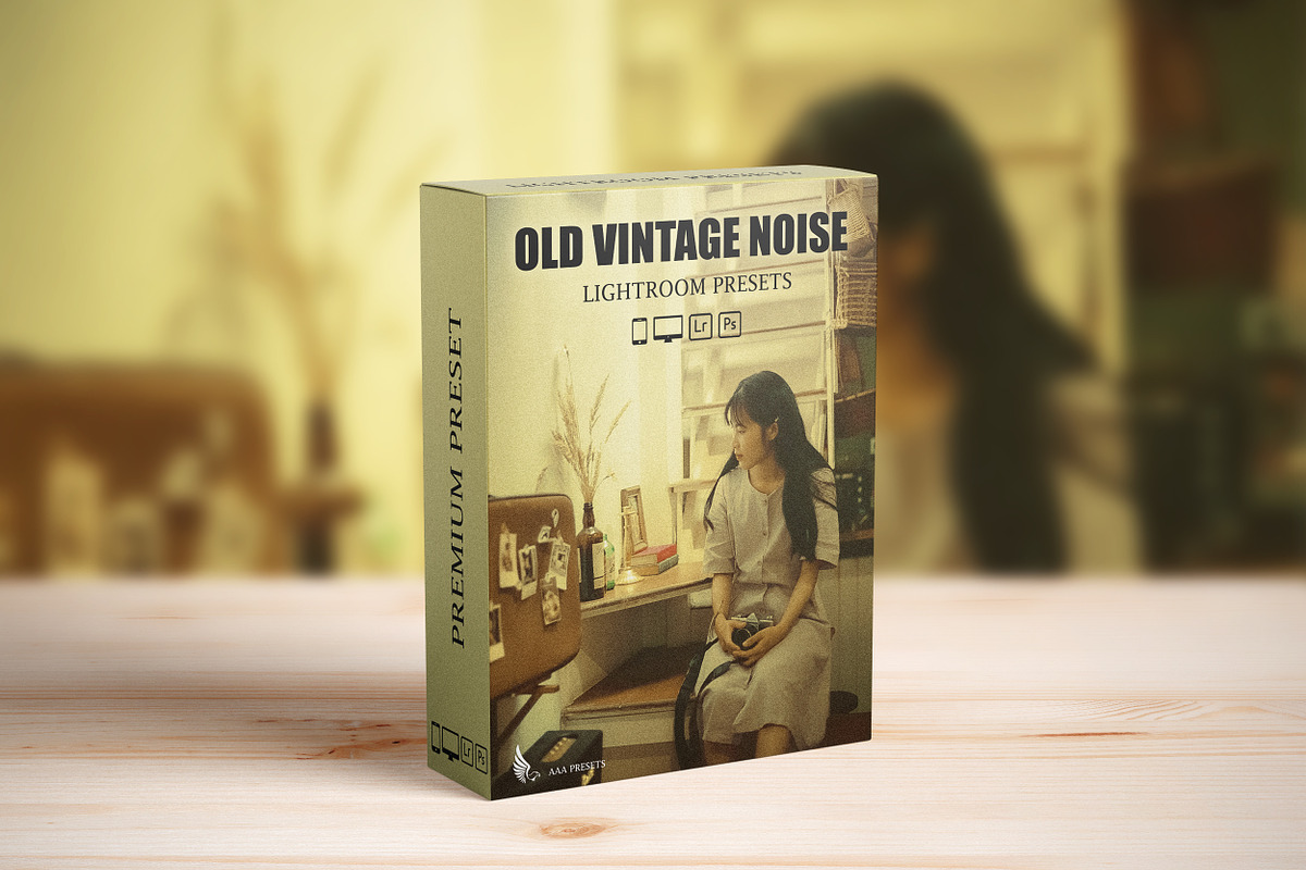 Vintage Retro Grain Lightroom Preset, a Preset Add-On by AAA Presets (Photo 2 of 20)