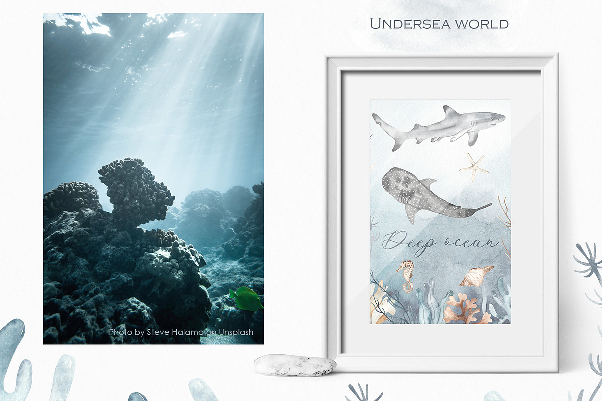 Undersea world Watercolor, an Animal Illustration by Marina Ermakova (Photo 8 of 12)