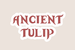 Ancient Tulip - Handwritten Font