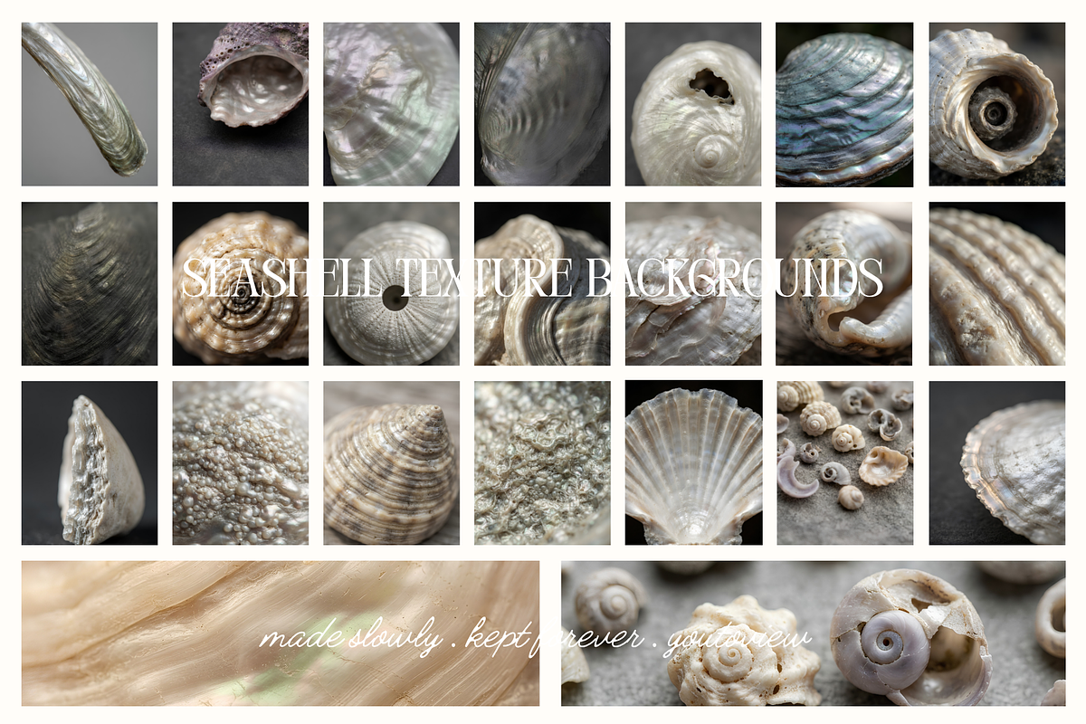 Seashell Texture Backgrounds, a Background Graphic by youtoview (Photo 3 of 12)