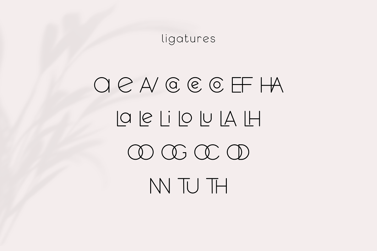Qeghina and Co, a Sans Serif Font by Sofia Skoog (Photo 7 of 10)