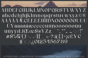 Divera - Display Serif, a Serif Font by executypeStudio (Thumbnail 9 of 11)