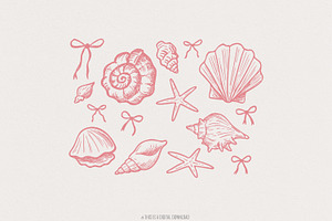 Coquette Seashell PNG, Beach Png, an Illustration by SharpMarketplace