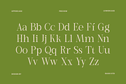 Remara Elegant Decorative Serif Font, a Serif Font by Rasio Studio (Thumbnail 2 of 9)